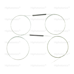 Fused SingleMode WDM